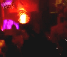 Ladies Night Stripper