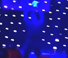 Ladies Night Stripper