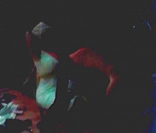 Party Stripper