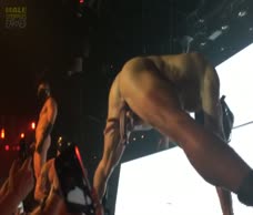 Leather Strippers (HQ)