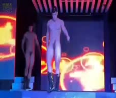 Stripper Posse