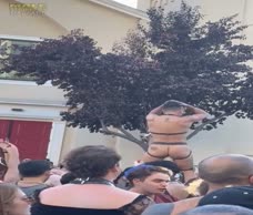 Outdoor Leather Stripper