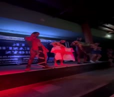 Ladies Night Stripper (HQ)