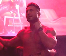 Leather Stripper