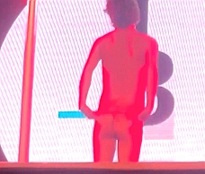 G-A-Y Porn Idol