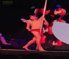 G-A-Y Porn Idol