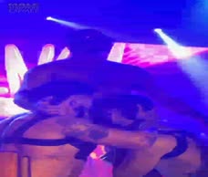 Live Gay Sex Show