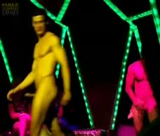 Stripper Posse