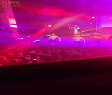 Dreamboys (Twitter)