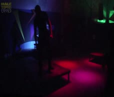 Gay Bar Stripper (Twitter)