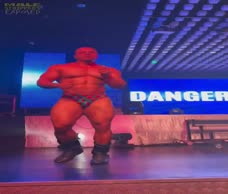 Brazilian Stripper (Twitter)