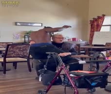 Old Ladies Stripper (Twitter)