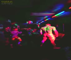 Gay Bar Stripper (Twitter)